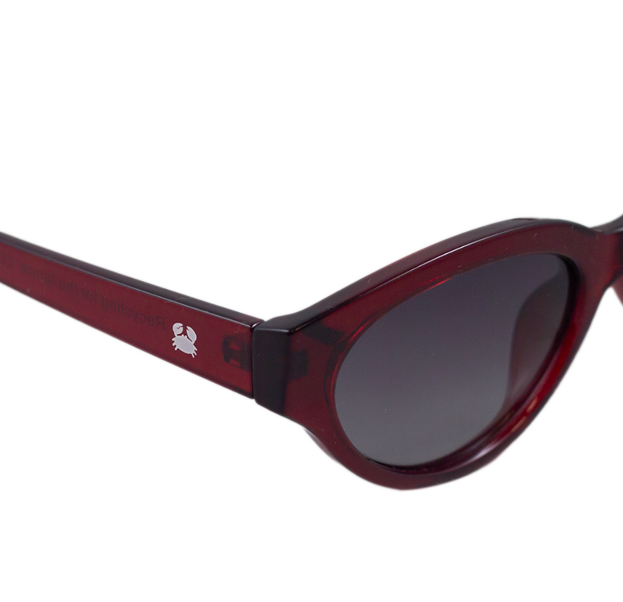 Eudola Oceanides Sunglasses with a dark frame and dark lenses on a white background